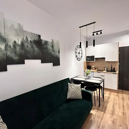 The Twins Plebiscytowa&powstancow Apartman