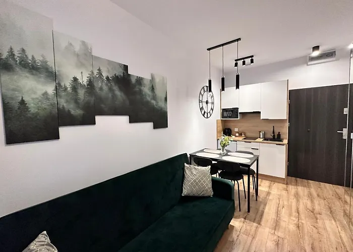 The Twins Plebiscytowa&powstancow Апартаменты